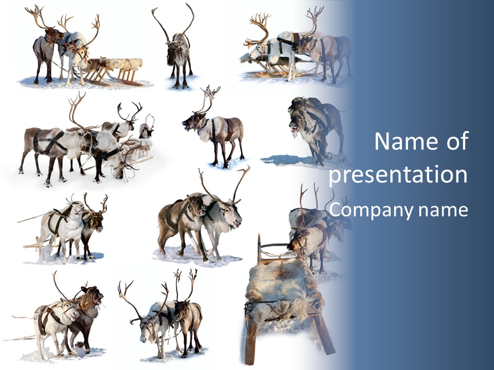 Fur Nature Outdoor PowerPoint Template