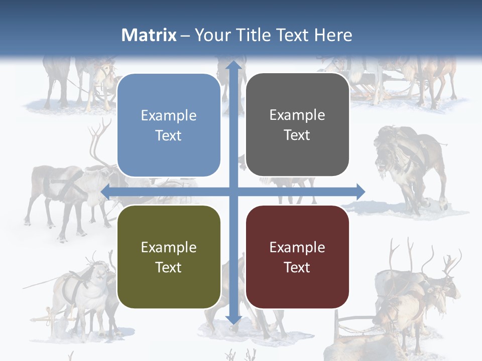 Fur Nature Outdoor PowerPoint Template