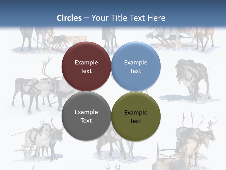 Fur Nature Outdoor PowerPoint Template