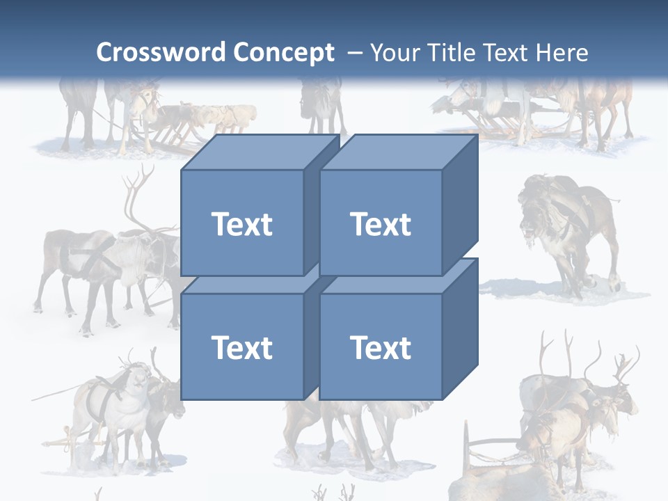 Fur Nature Outdoor PowerPoint Template