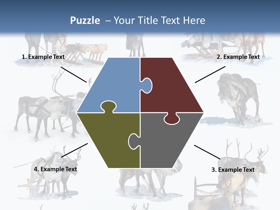 Fur Nature Outdoor PowerPoint Template