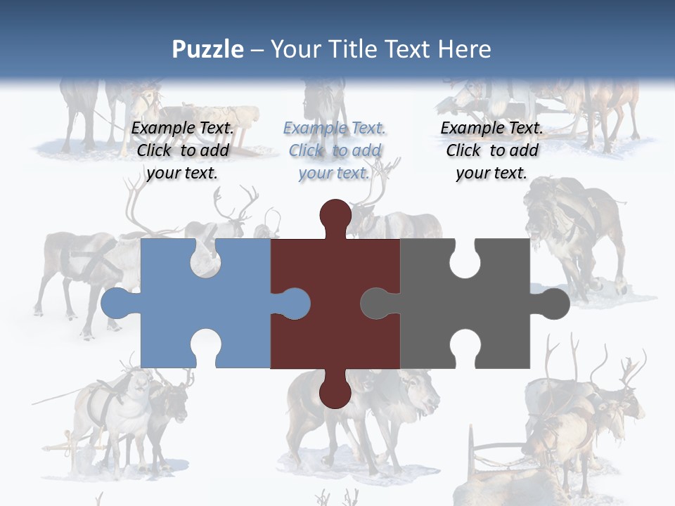 Fur Nature Outdoor PowerPoint Template