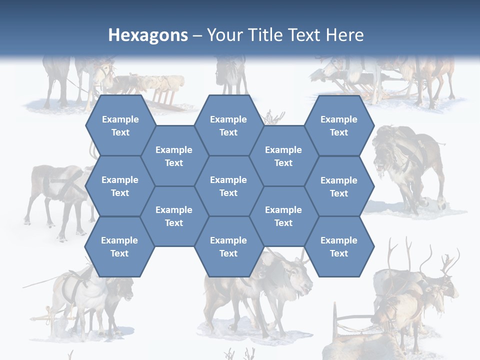 Fur Nature Outdoor PowerPoint Template