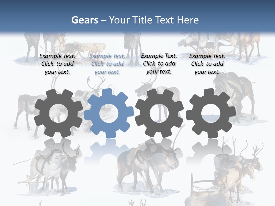 Fur Nature Outdoor PowerPoint Template