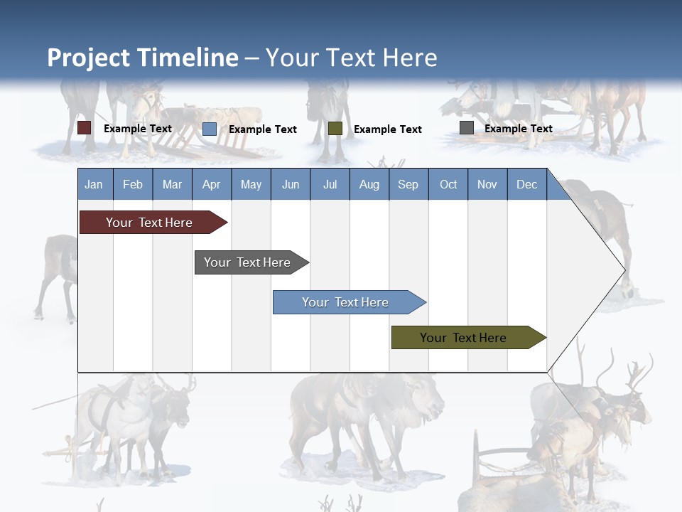 Fur Nature Outdoor PowerPoint Template