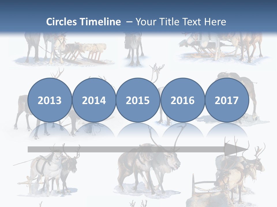 Fur Nature Outdoor PowerPoint Template