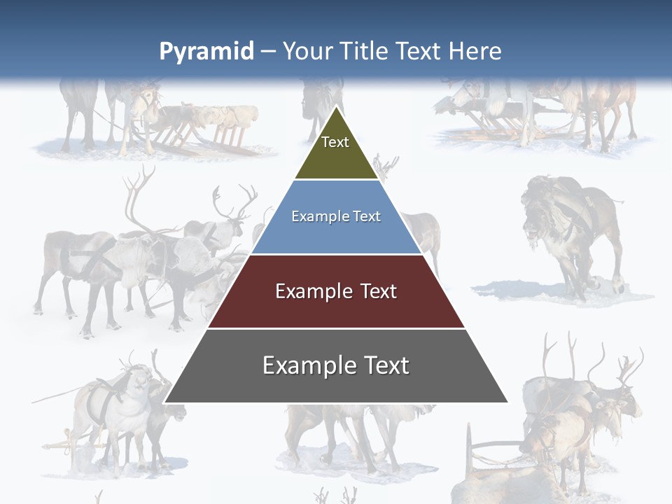 Fur Nature Outdoor PowerPoint Template