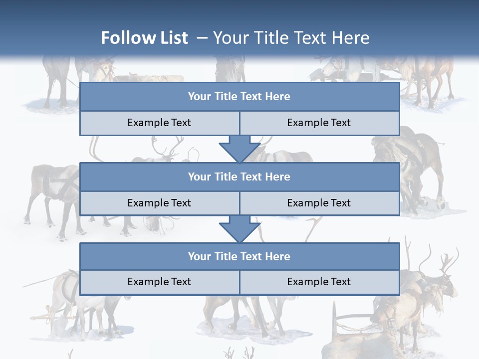 Fur Nature Outdoor PowerPoint Template