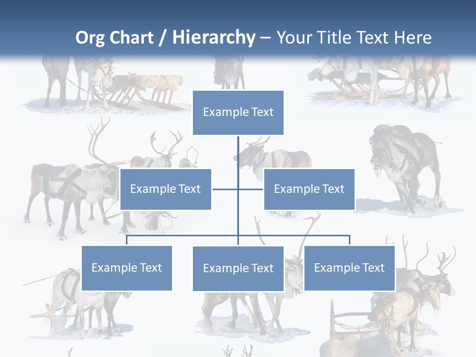 Fur Nature Outdoor PowerPoint Template