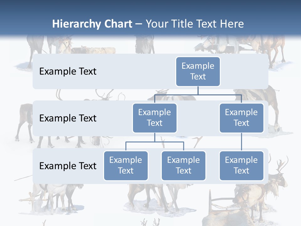 Fur Nature Outdoor PowerPoint Template