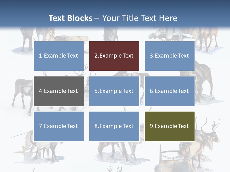 Fur Nature Outdoor PowerPoint Template