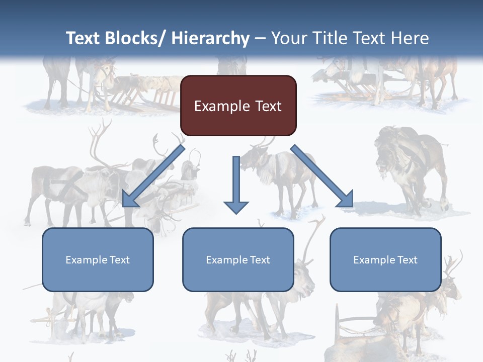 Fur Nature Outdoor PowerPoint Template