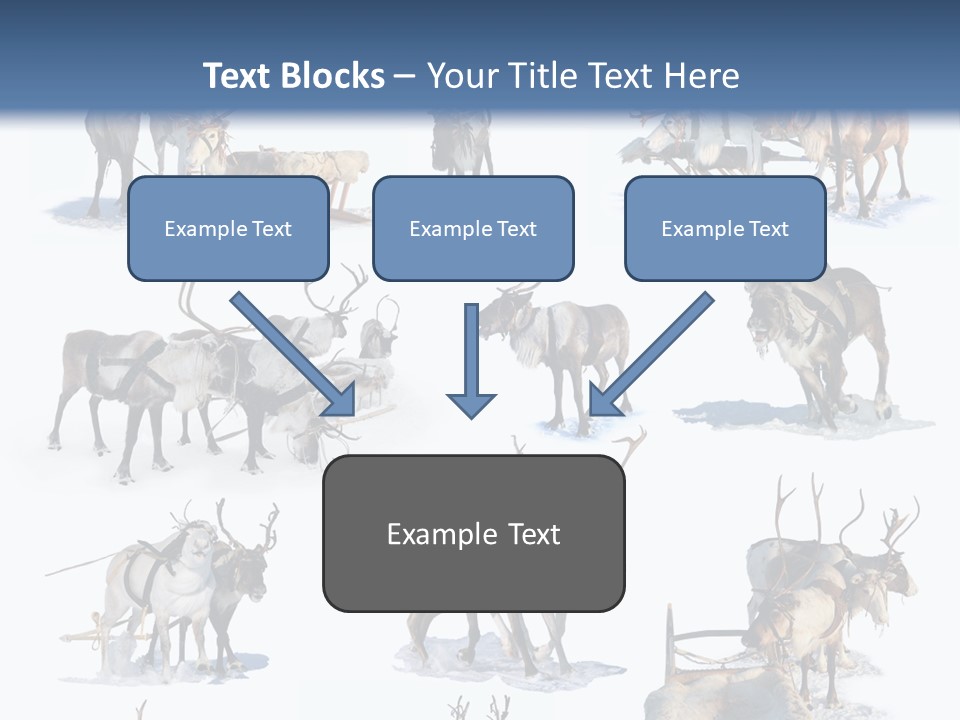 Fur Nature Outdoor PowerPoint Template
