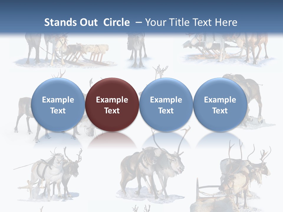 Fur Nature Outdoor PowerPoint Template