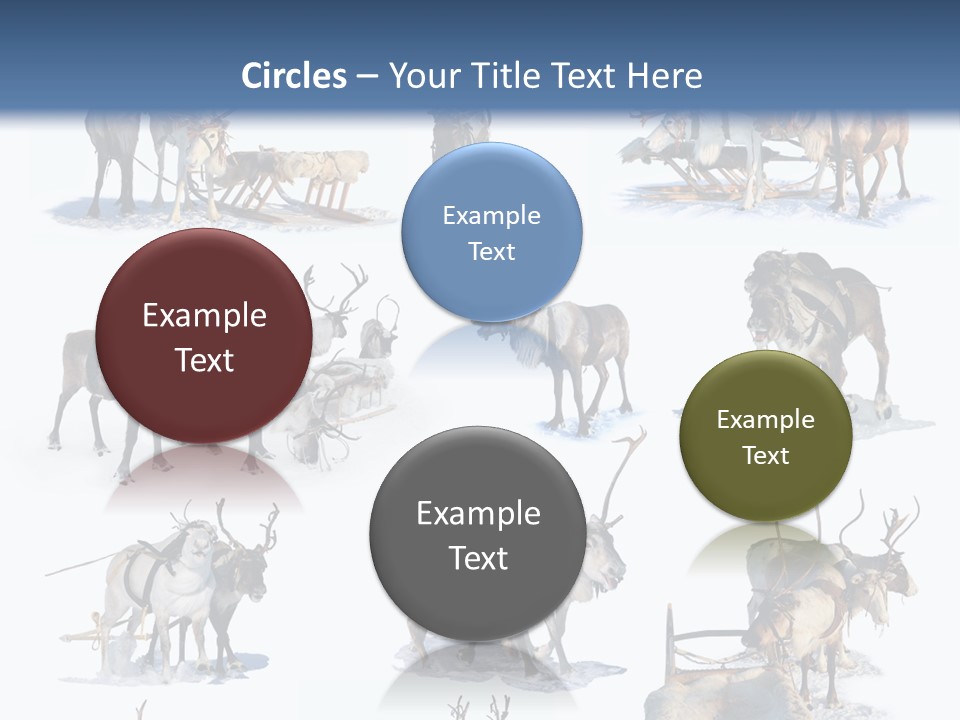 Fur Nature Outdoor PowerPoint Template