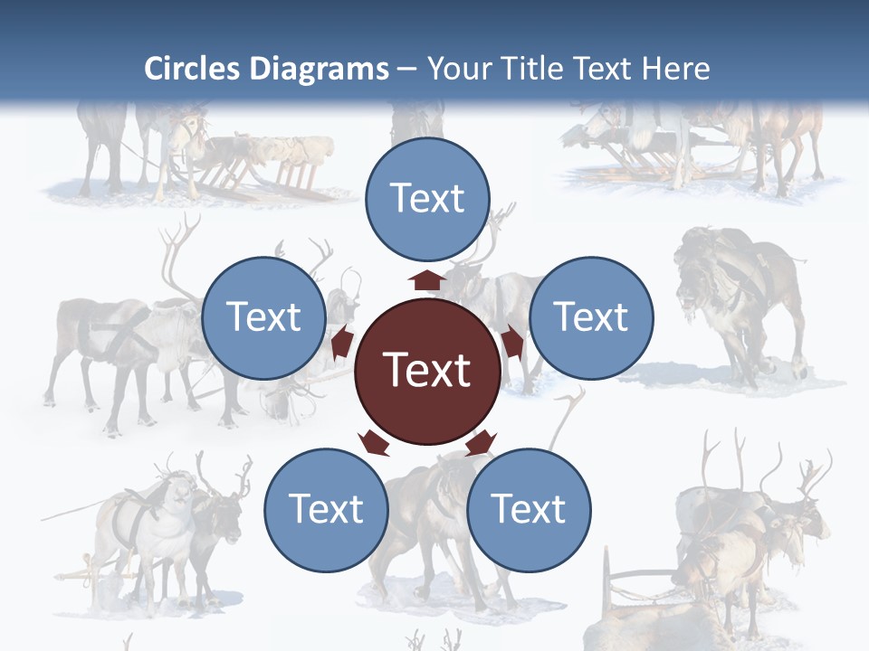 Fur Nature Outdoor PowerPoint Template