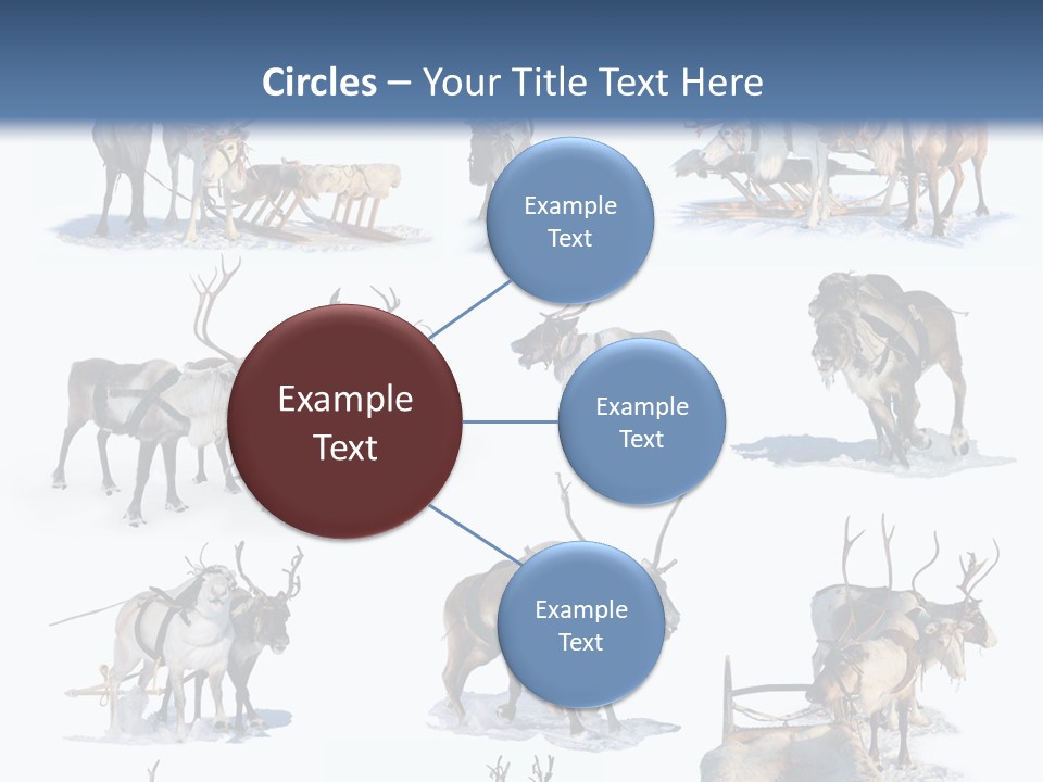 Fur Nature Outdoor PowerPoint Template