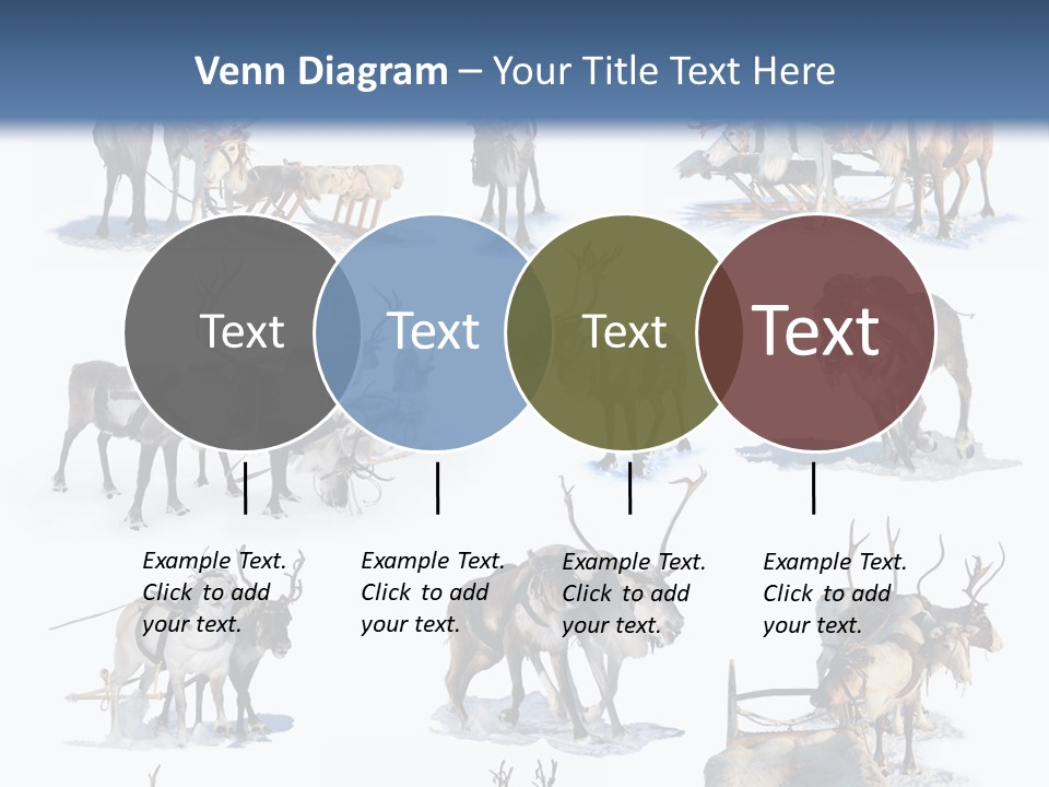 Fur Nature Outdoor PowerPoint Template