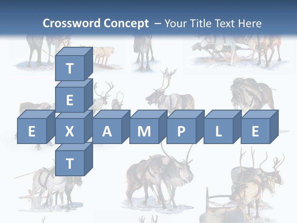 Fur Nature Outdoor PowerPoint Template