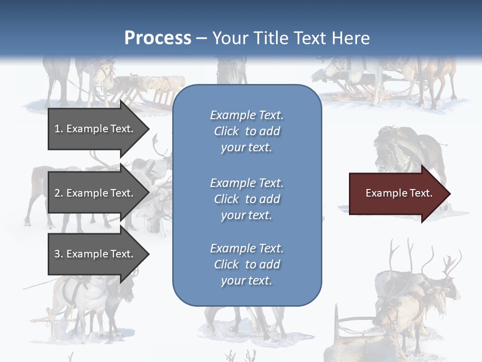 Fur Nature Outdoor PowerPoint Template