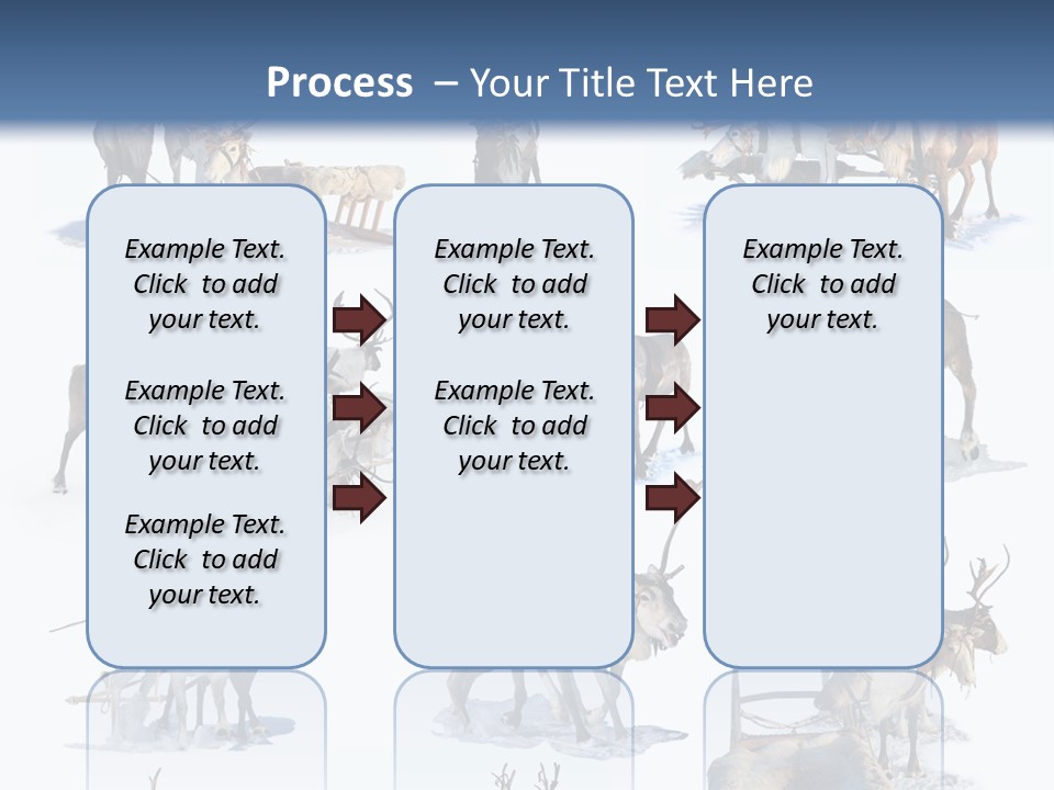 Fur Nature Outdoor PowerPoint Template