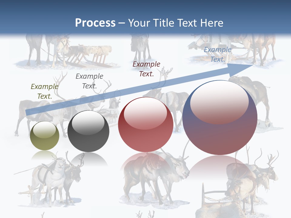 Fur Nature Outdoor PowerPoint Template