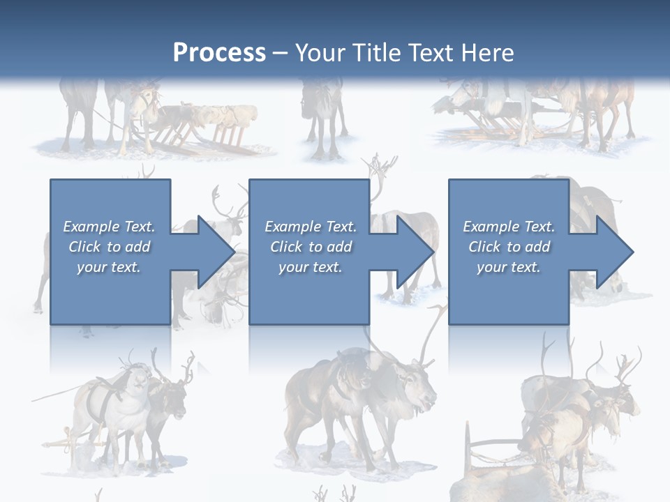 Fur Nature Outdoor PowerPoint Template
