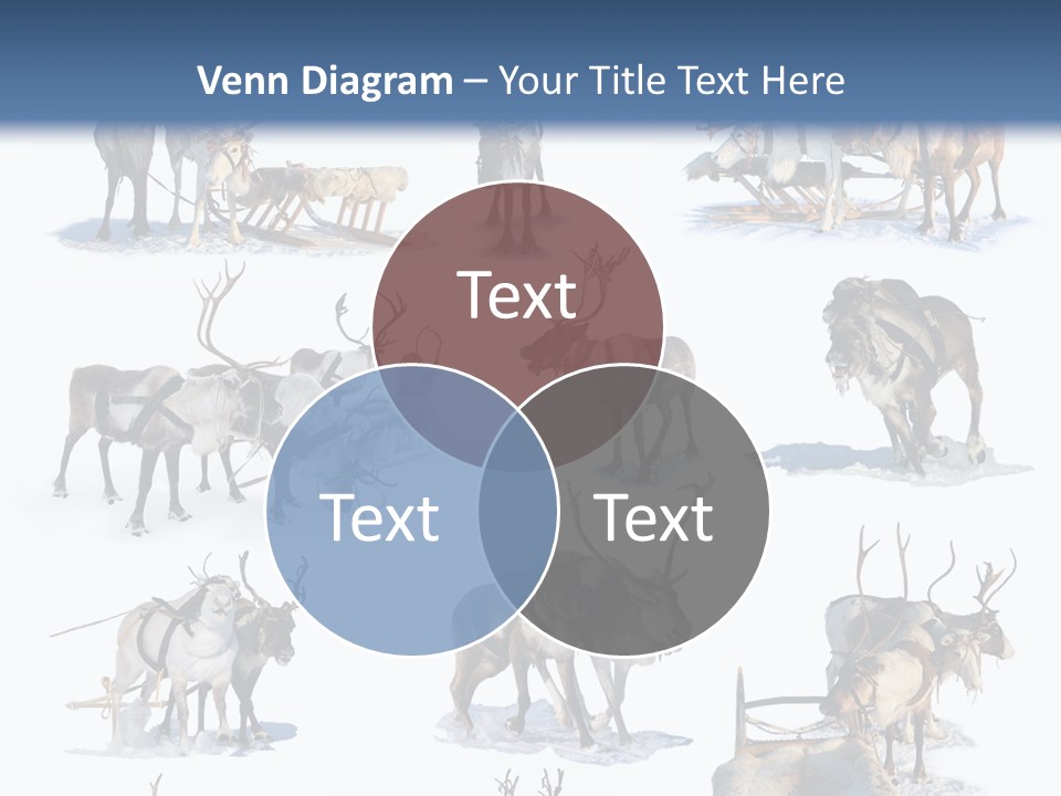 Fur Nature Outdoor PowerPoint Template