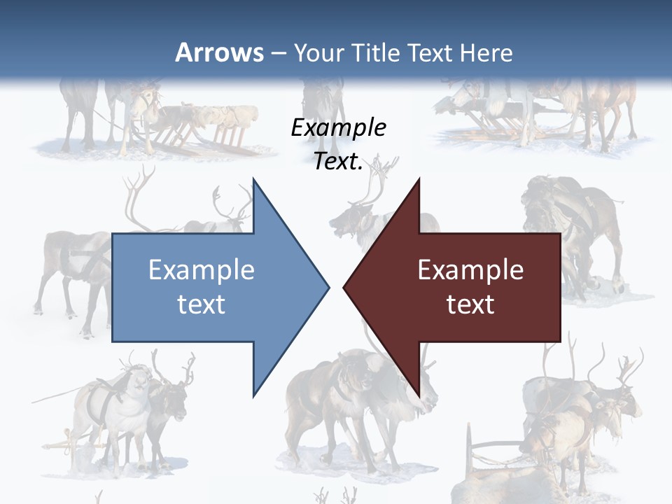 Fur Nature Outdoor PowerPoint Template