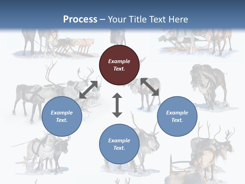 Fur Nature Outdoor PowerPoint Template