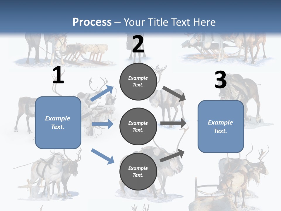 Fur Nature Outdoor PowerPoint Template