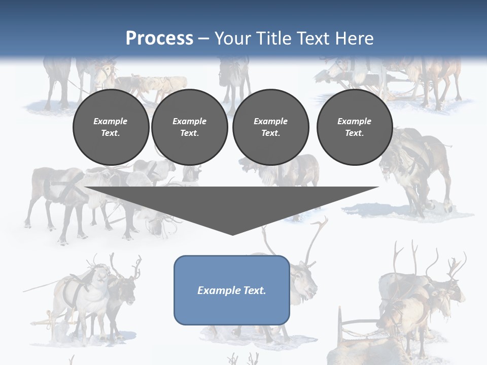 Fur Nature Outdoor PowerPoint Template
