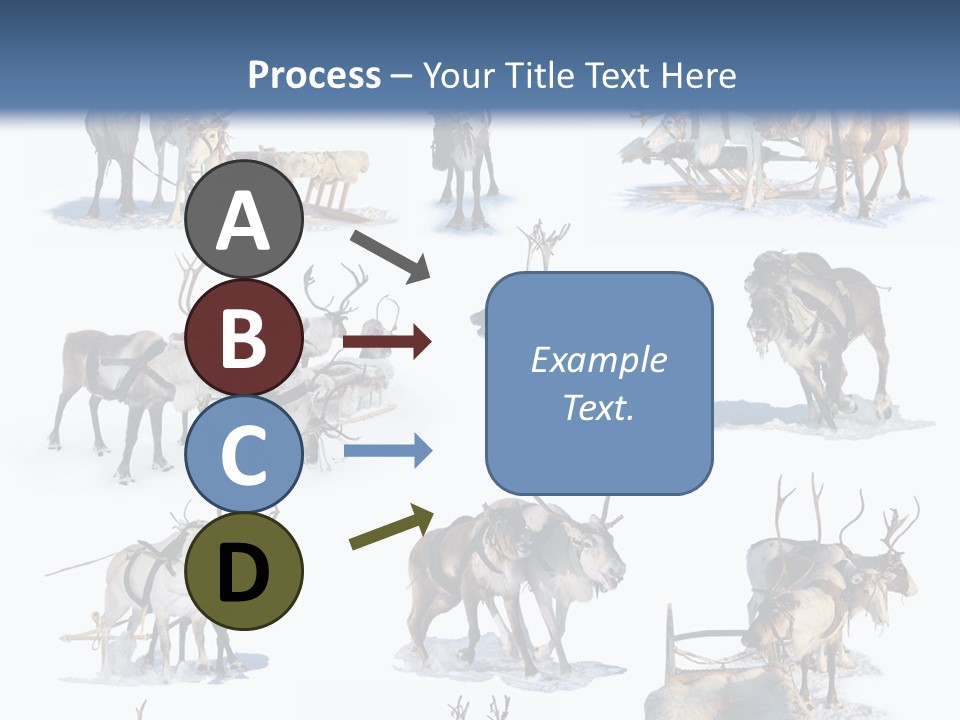 Fur Nature Outdoor PowerPoint Template