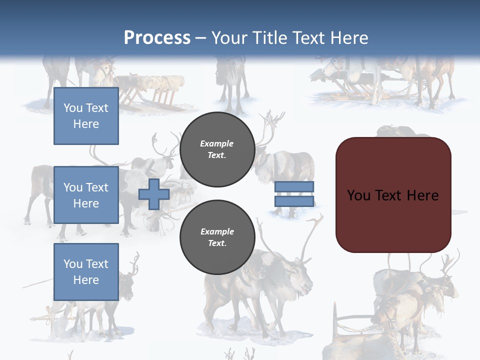 Fur Nature Outdoor PowerPoint Template