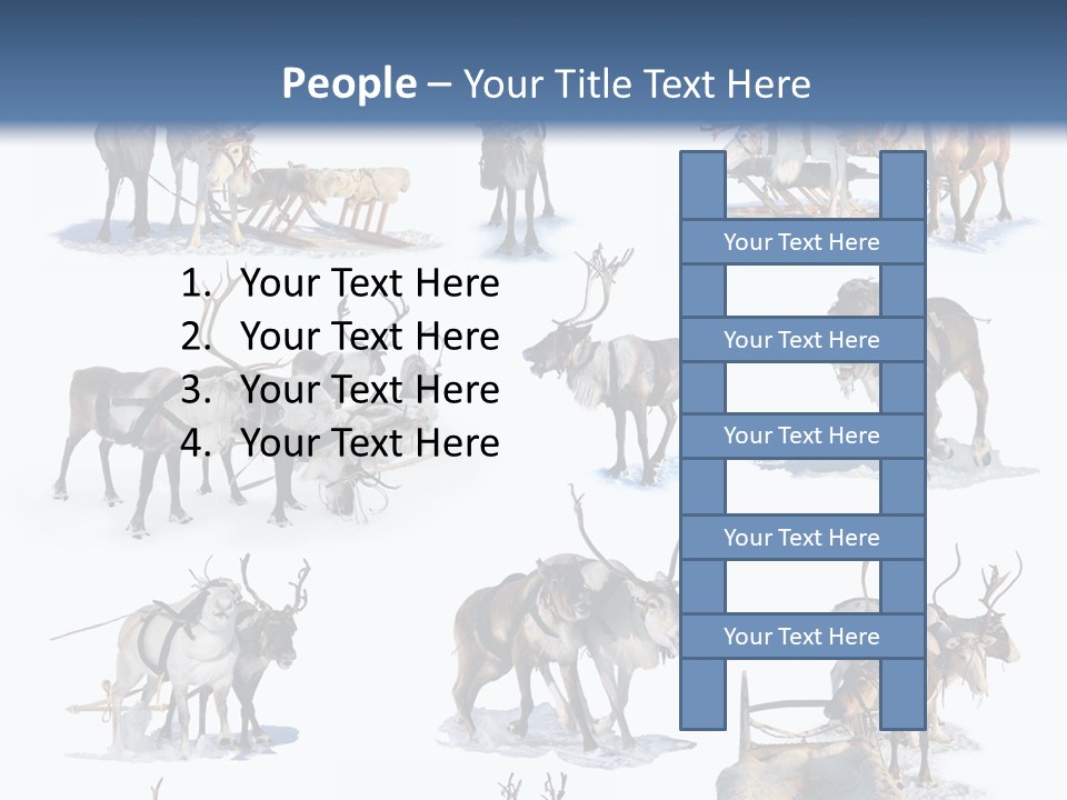 Fur Nature Outdoor PowerPoint Template