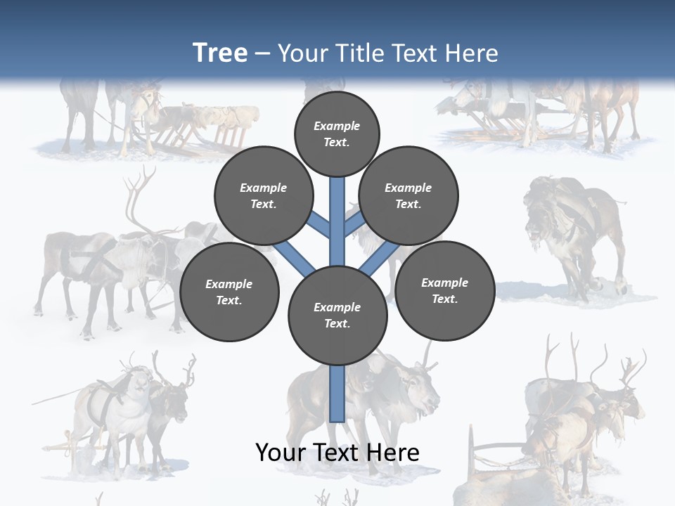 Fur Nature Outdoor PowerPoint Template