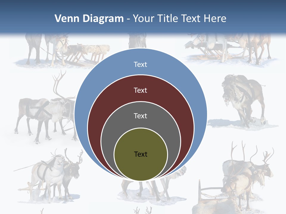Fur Nature Outdoor PowerPoint Template