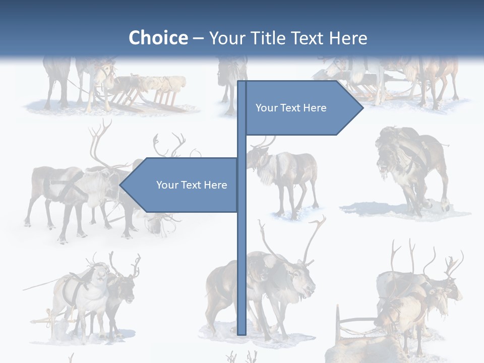 Fur Nature Outdoor PowerPoint Template