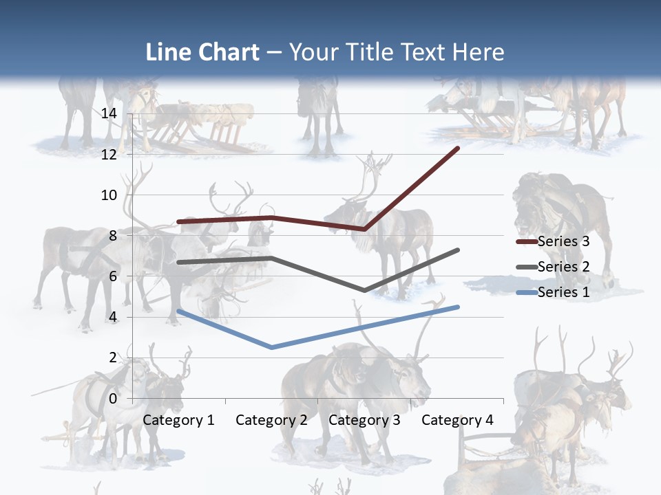 Fur Nature Outdoor PowerPoint Template