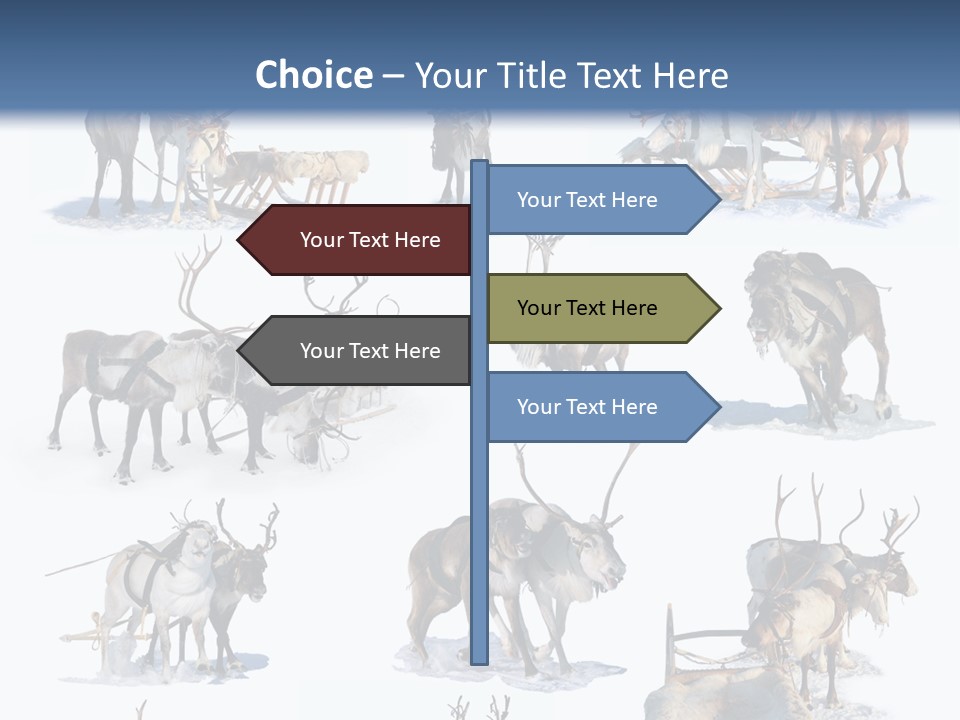 Fur Nature Outdoor PowerPoint Template