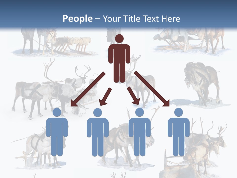 Fur Nature Outdoor PowerPoint Template