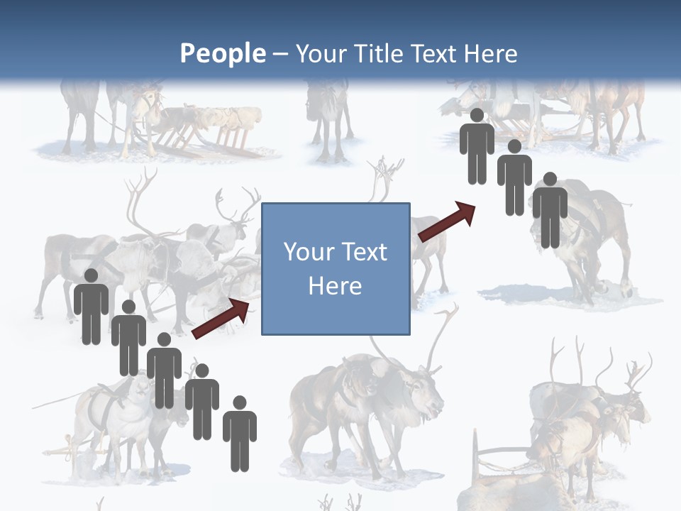 Fur Nature Outdoor PowerPoint Template