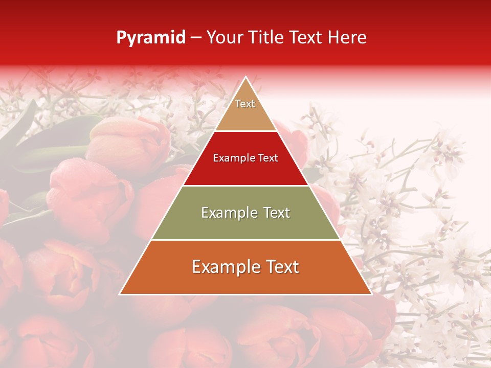 Plant Bud Isolated PowerPoint Template