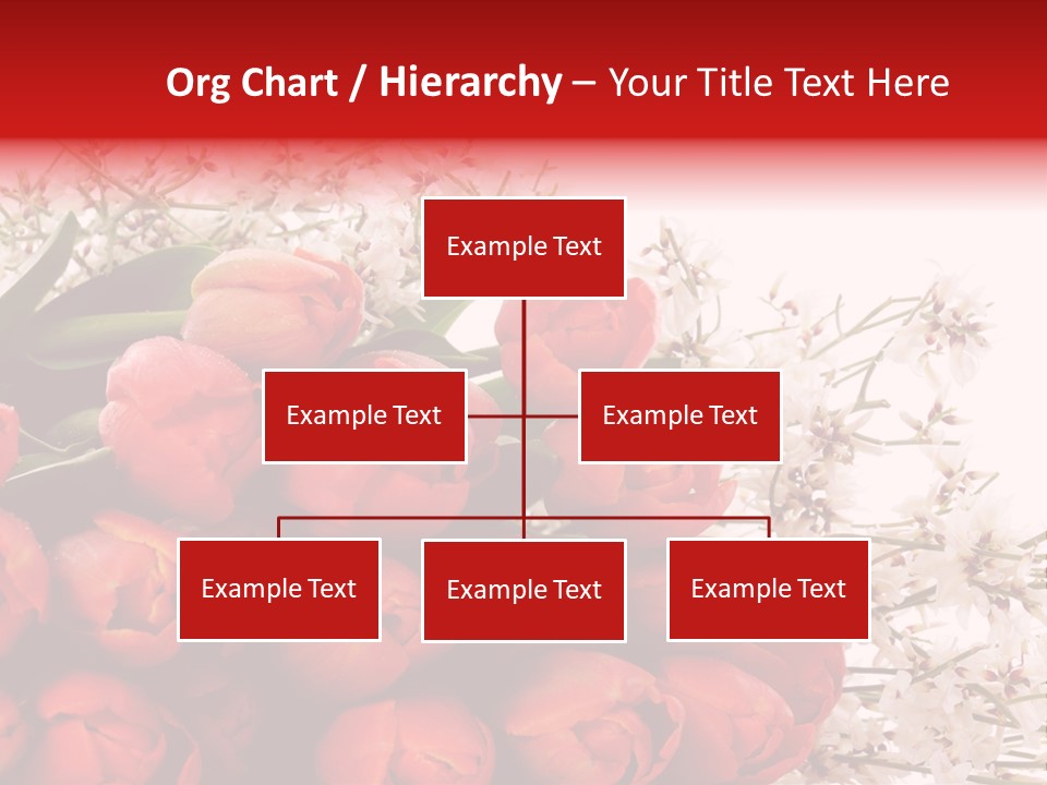 Plant Bud Isolated PowerPoint Template