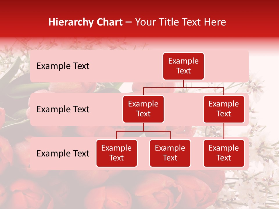 Plant Bud Isolated PowerPoint Template