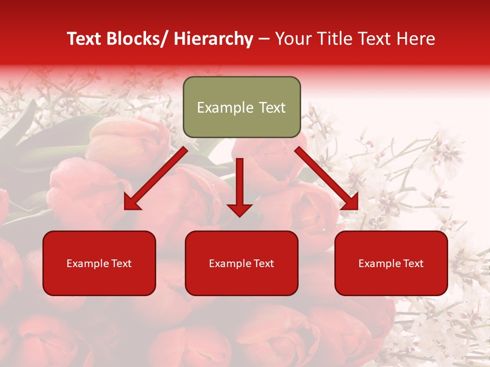 Plant Bud Isolated PowerPoint Template