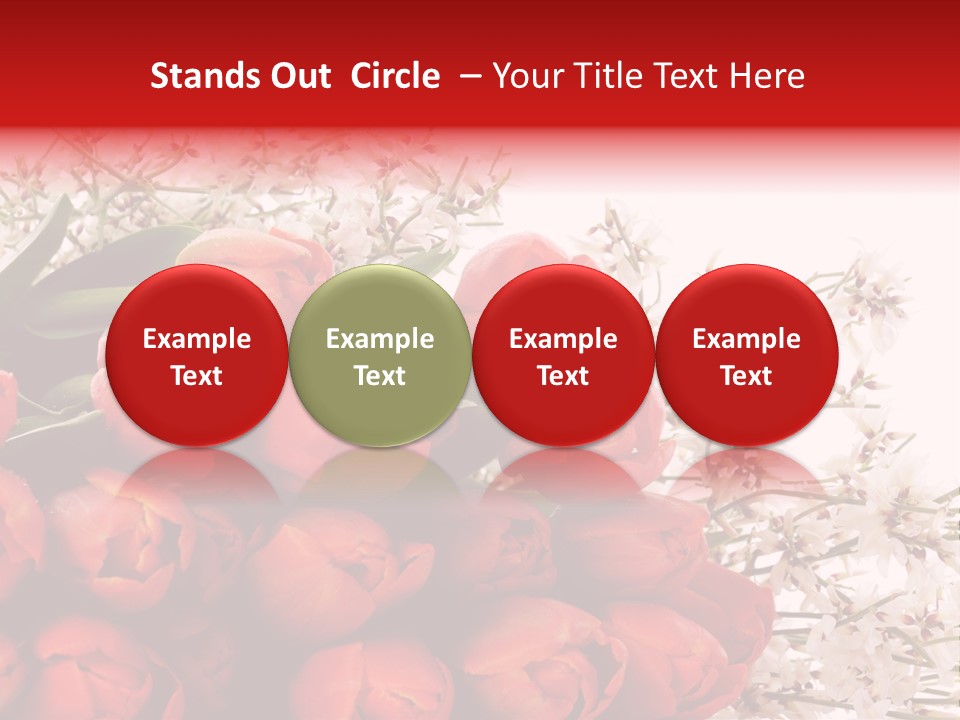 Plant Bud Isolated PowerPoint Template