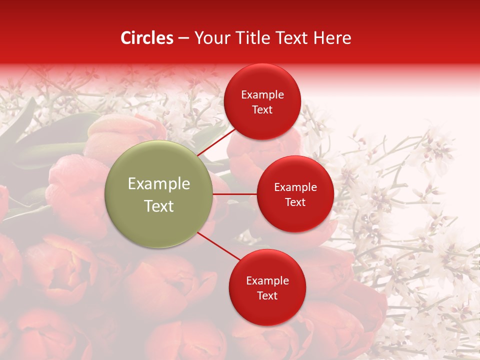 Plant Bud Isolated PowerPoint Template