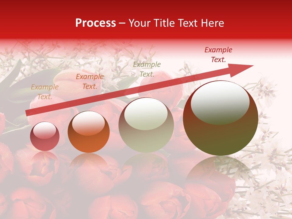 Plant Bud Isolated PowerPoint Template