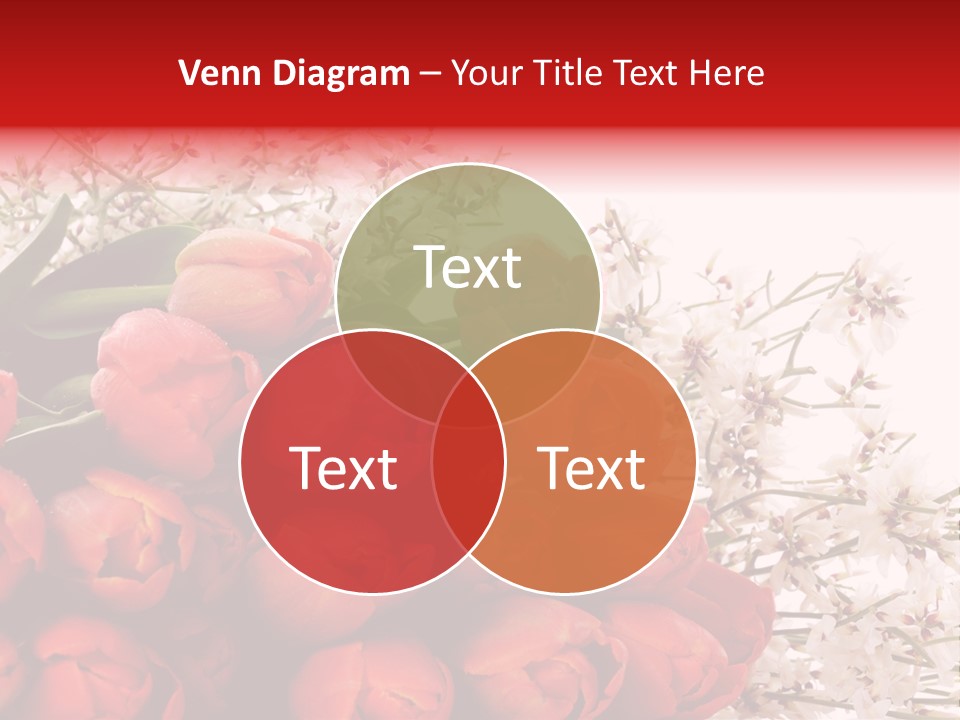 Plant Bud Isolated PowerPoint Template